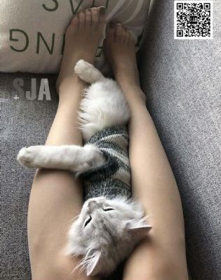 归路电视剧完整版免费30集_1080P在线播放