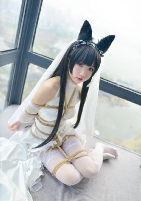 《至高利益》电视剧_蓝光高清视频播放